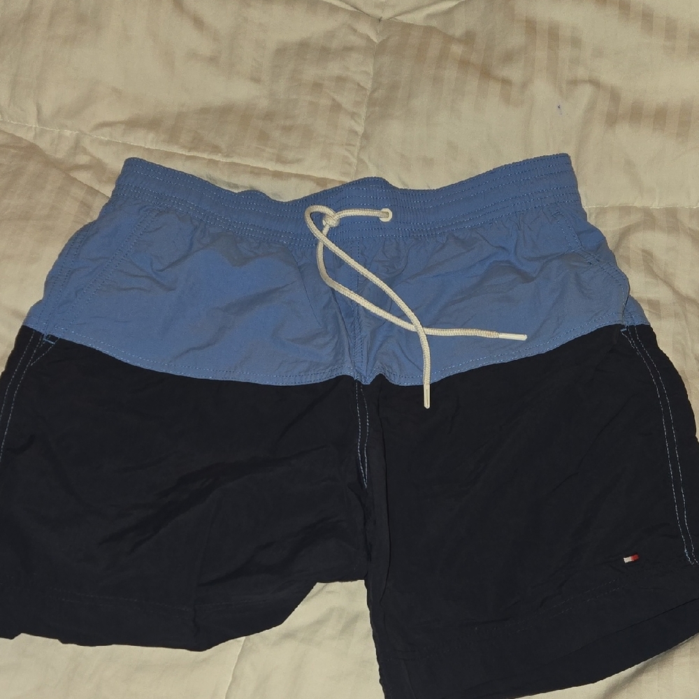 Tommy Hilfiger Blue and Black Swim Briefs